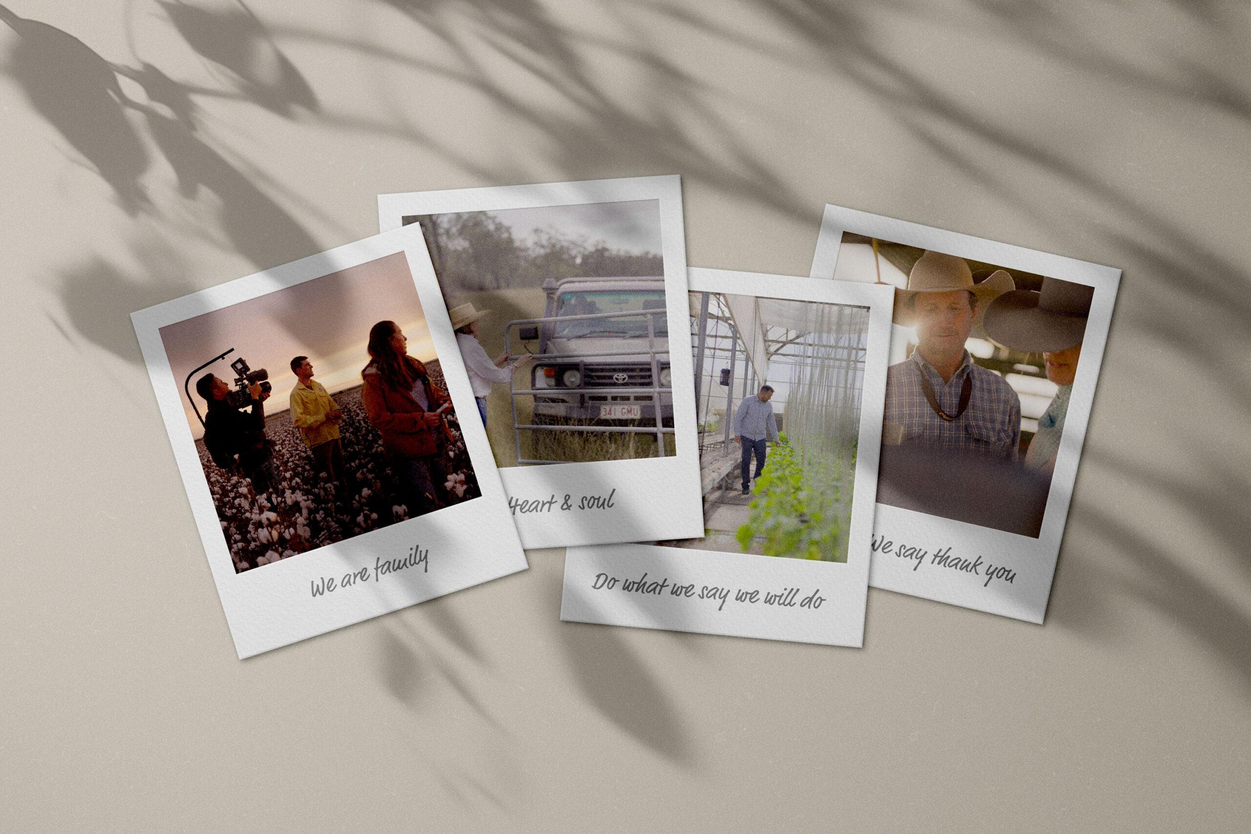 Cussons Media Values on Polaroids